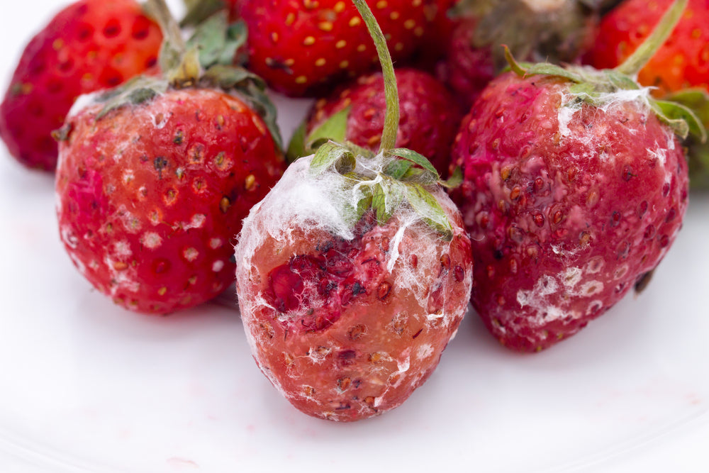 What Is Ethylene Gas: Information On Ethylene Gas And Fruit Ripening