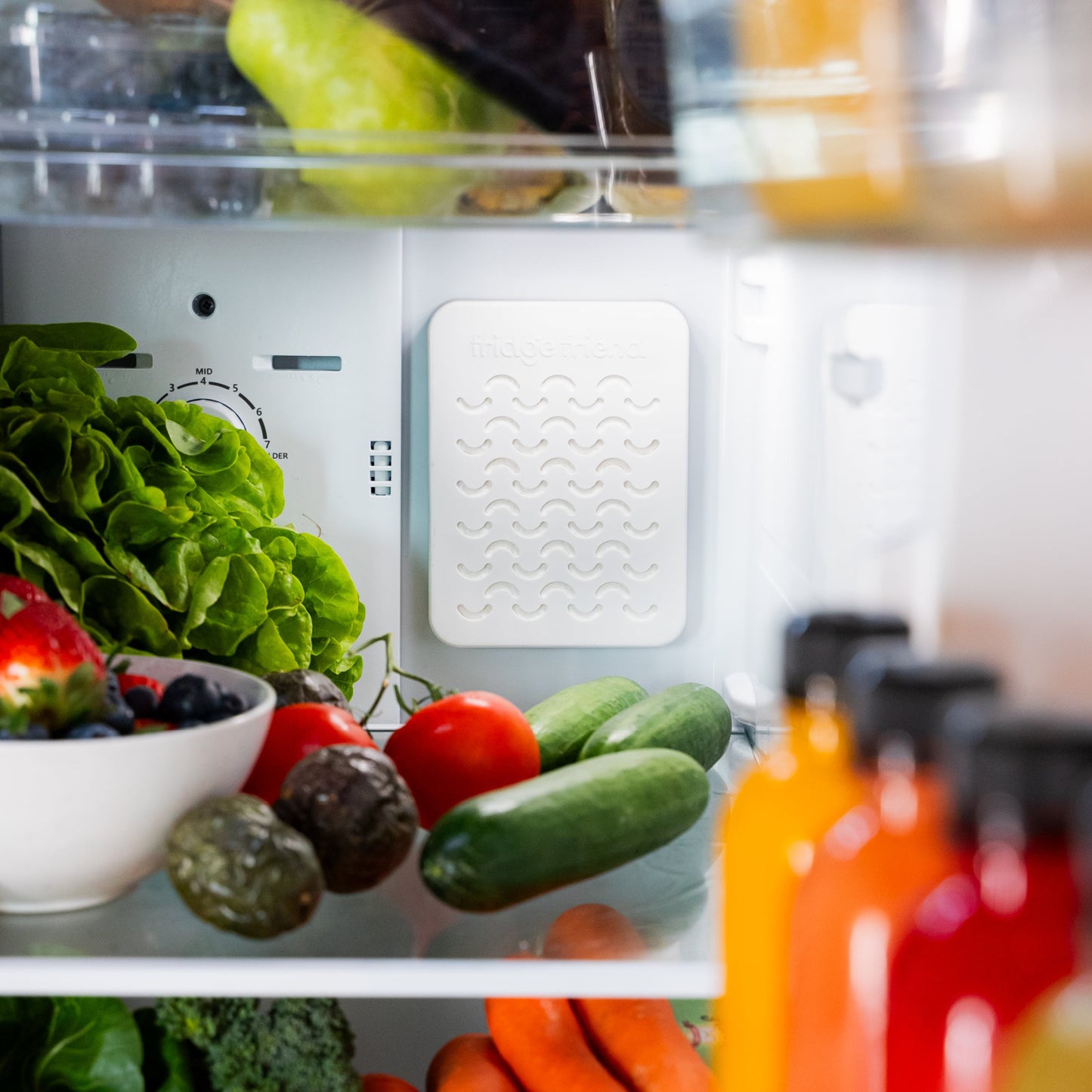Fridge Friend®