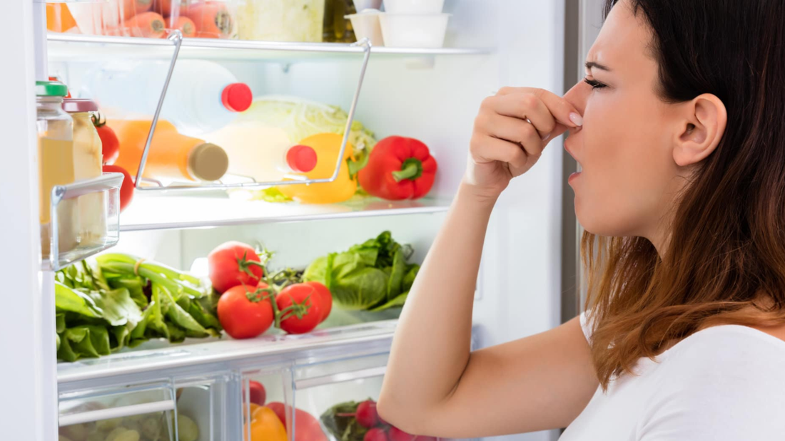 Why Does My Fridge Smell Even When It Looks Clean?