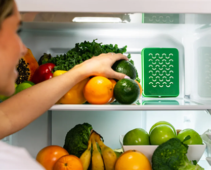How to store fresh produce for maximum results with Fridge Friend