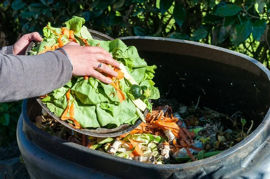 The importance of composting and how to start your own compost bin.