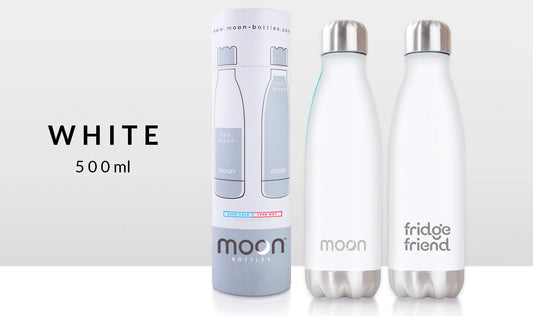 Fridge Friend Insulated, 500ml Stainless Steel Water Bottle