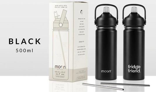 Fridge Friend Insulated 500ml Water Bottle with Straw Lid
