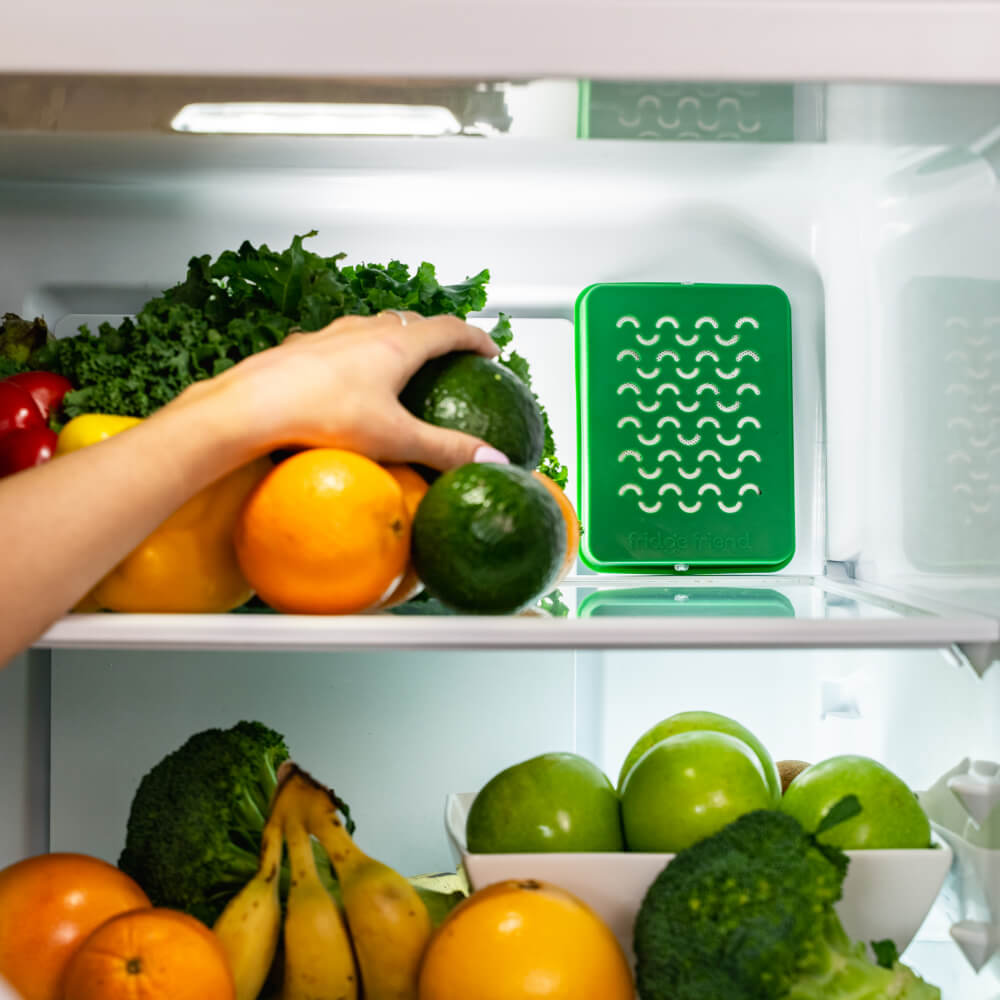 Fridge Friend® Wholesale