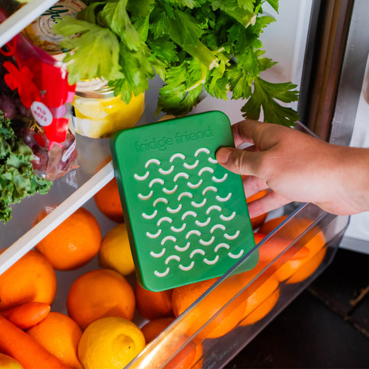 Fridge Friend® - Green