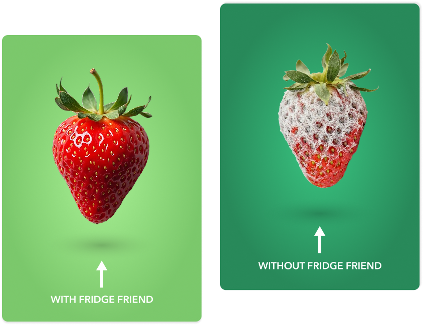 Freshness Image