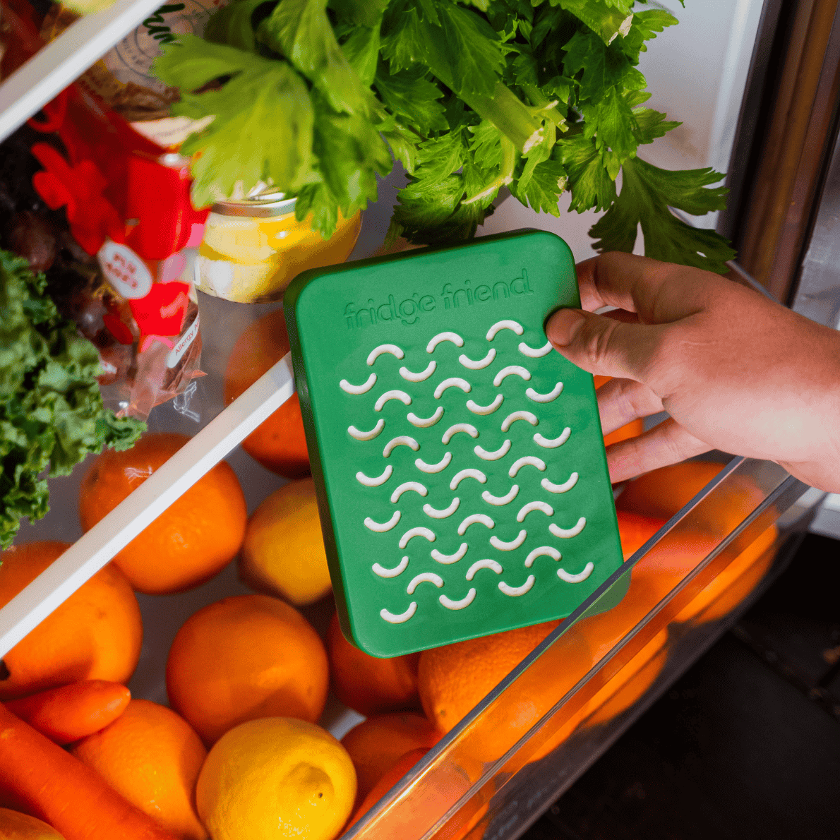 Fridge Friend Refrigerator Ethylene Filter Reduce Waste Save Money fridge-friend-refrigerator-ethylene-filter-reduce-waste-save-money