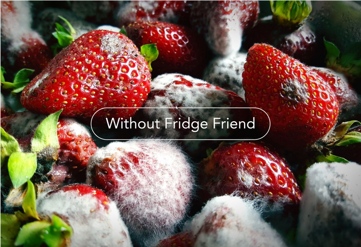 Fridge Friend | How It Works - A Detailed Overview