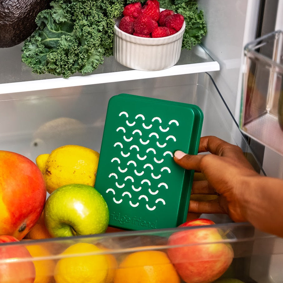 Fridge Friend Refrigerator Ethylene Filter, Reduce Waste, Save Money
